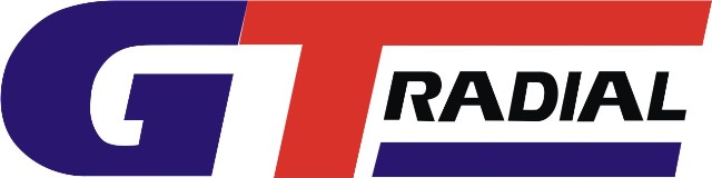 зимние шины GT Radial